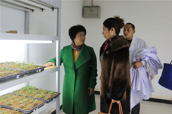 王慶美專家參觀禾下土脫毒中心