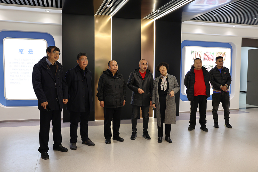 1700547783411586.jpg 1.jpg