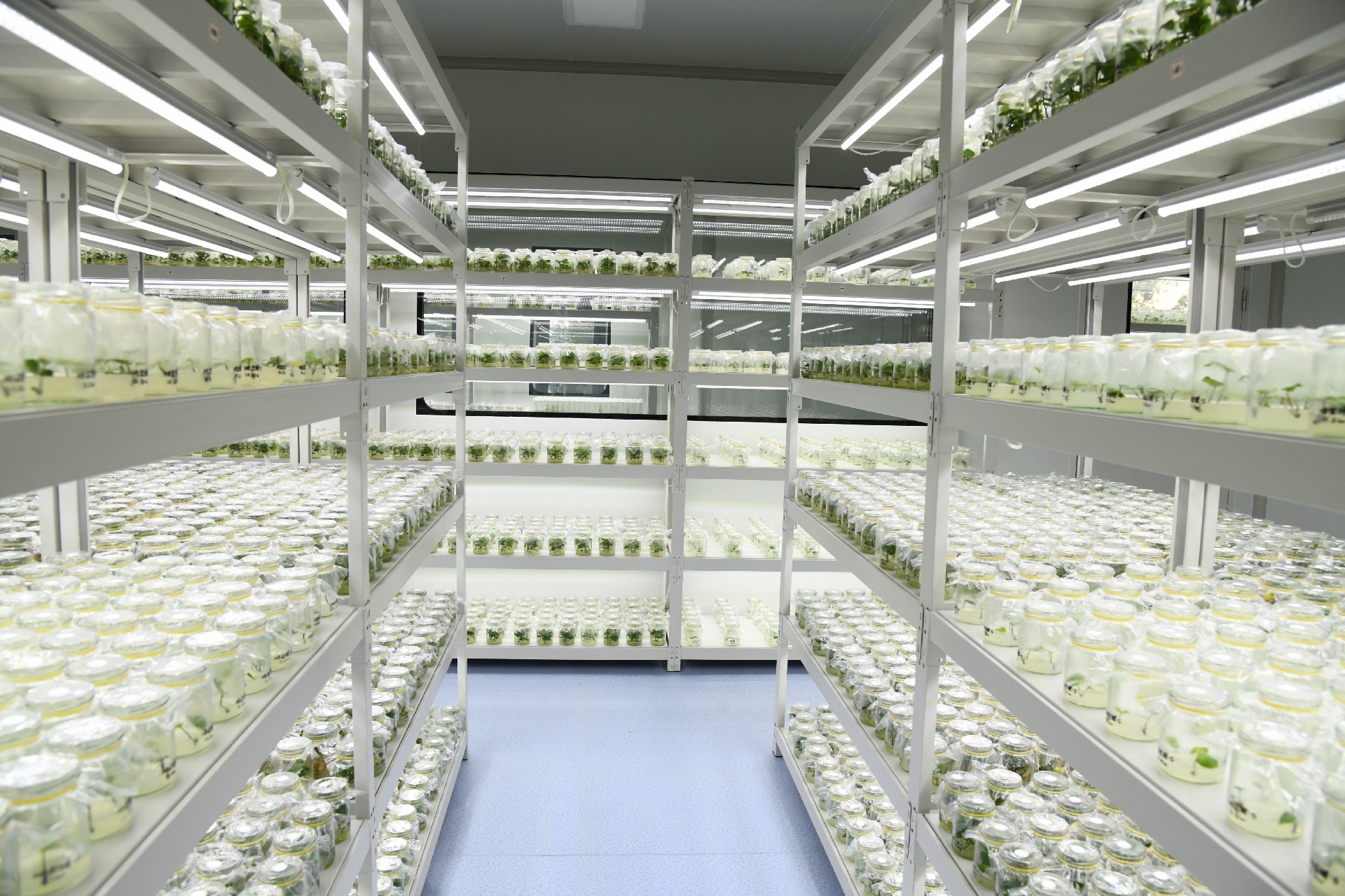 1733536325573431.jpg DSC_2134(1)(1).jpg