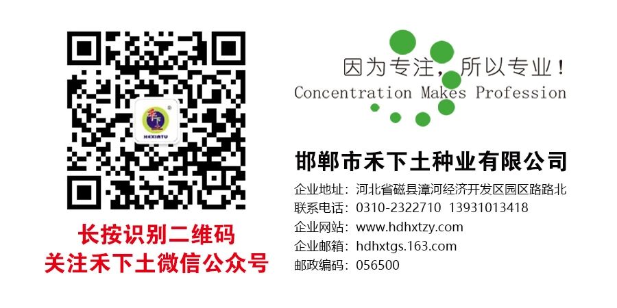 1733736834408384.jpg 微信圖片_20241120162934.jpg