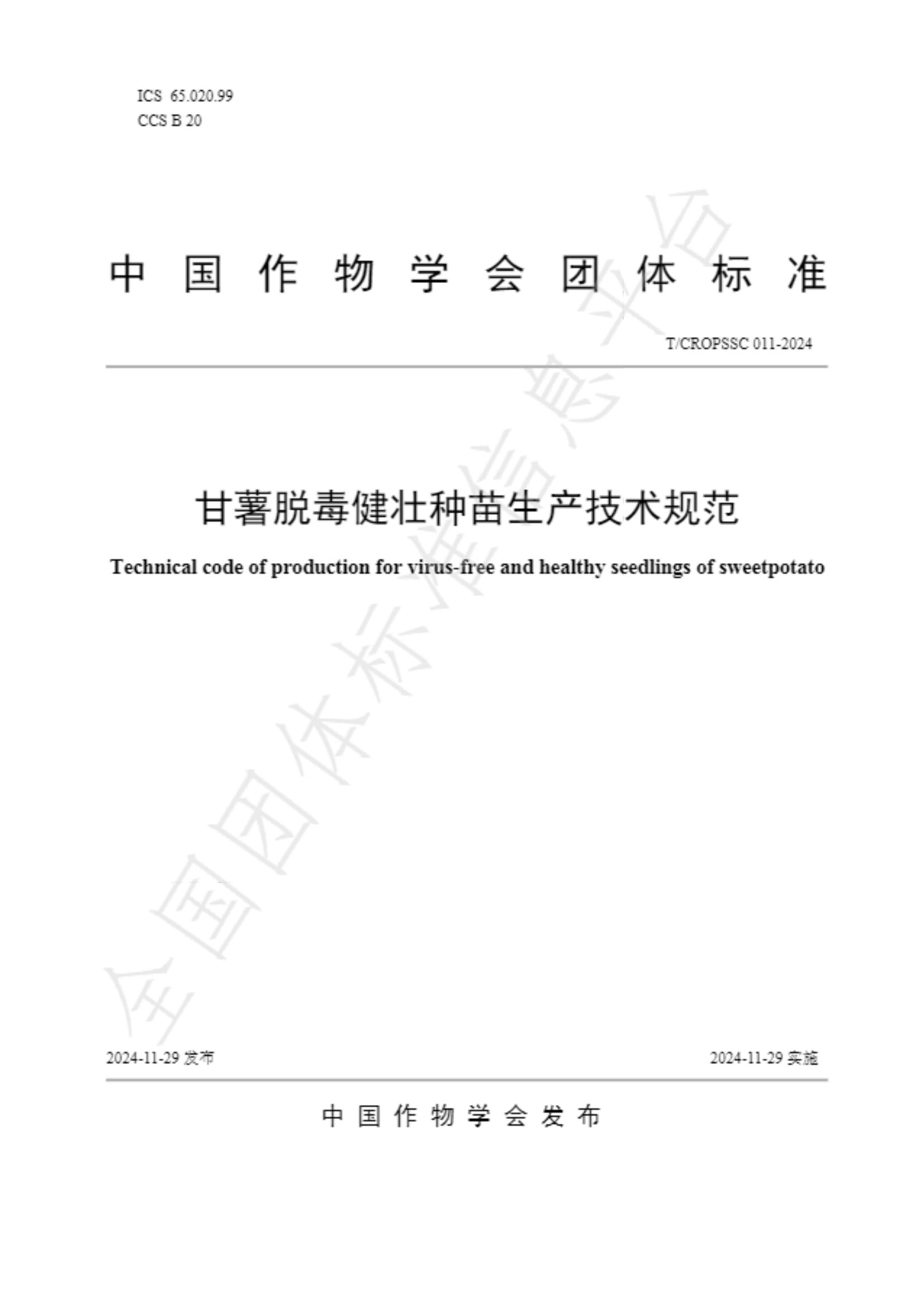 1734599547160837.jpg 中國作物學會 甘薯脫毒健壯種苗生產技術規范_00.jpg